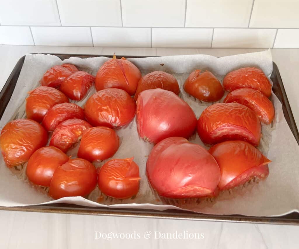 tomatoes from the oven ready to peel