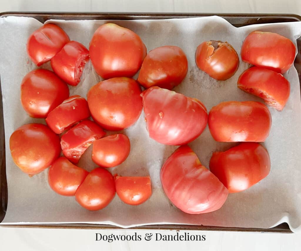 tomatoes on a sheet pan ready to be roasted