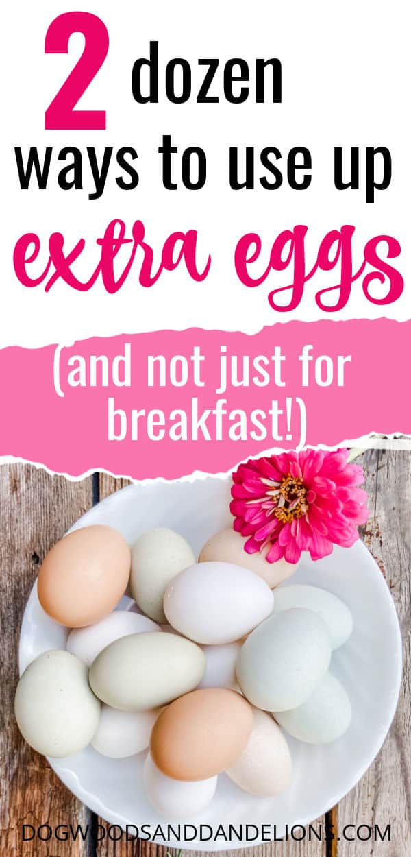 Ways To Use Extra Eggs Dogwoods & Dandelions