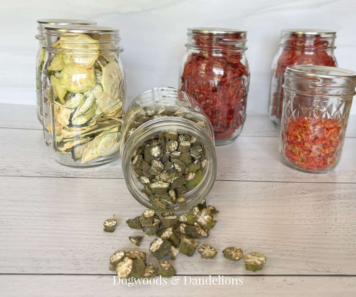 jars of dehydrated vegetables with dehydrated okra spilling out of the jar
