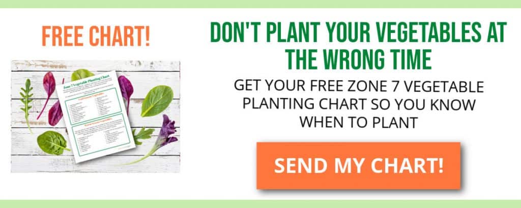 subscribe box for zone7 vegetable planting chart
