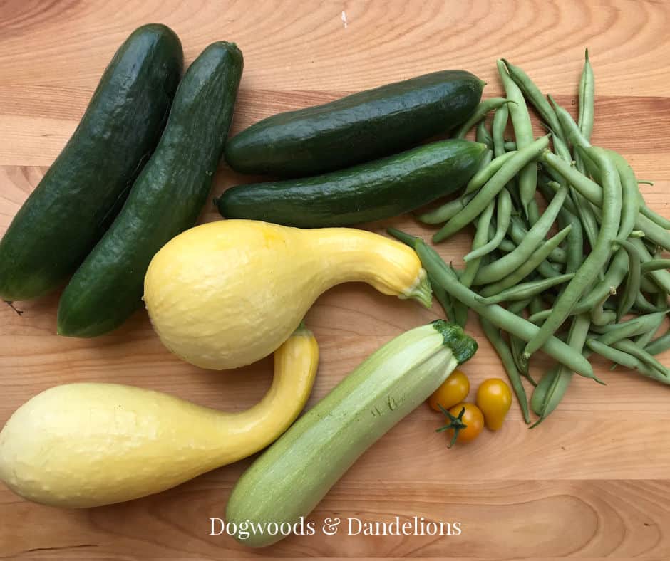 squash, zucchini, cucumbers, tomatoes and green beans on a wooden background
