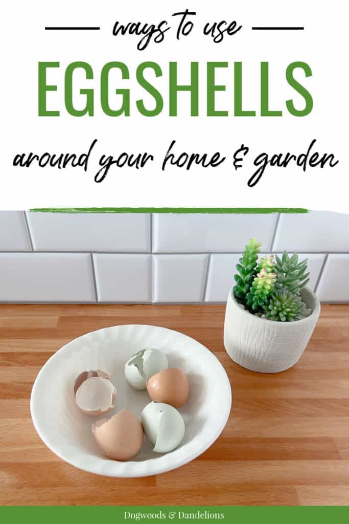 a bowl of eggshells on a wooden board with a succulent