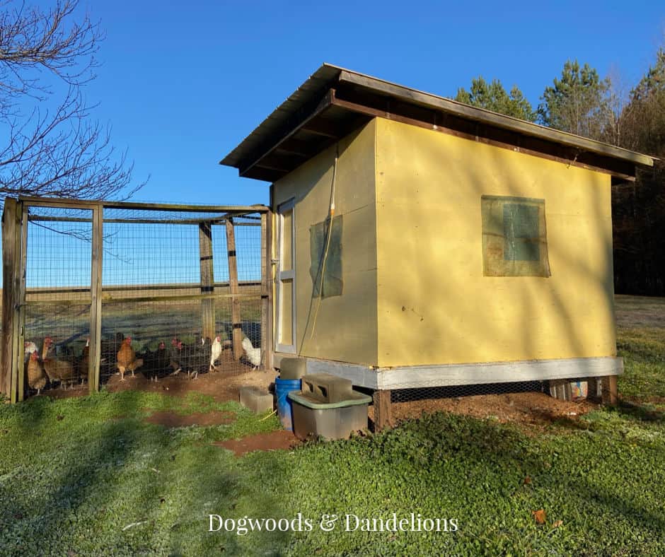 a yellow chicken coop and run