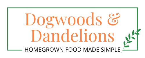 Dogwoods & Dandelions Logo-01/04/24